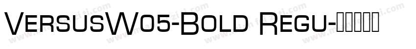 VersusW05-Bold Regu字体转换